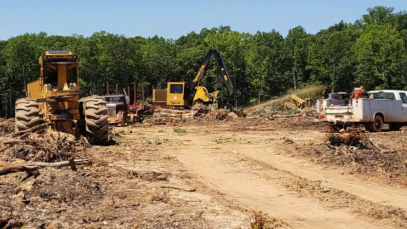 heavy contruction machines and trucks working at loggin site
