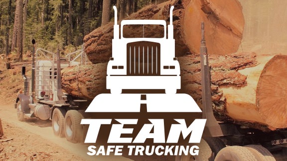 team safe logo and loggin truck